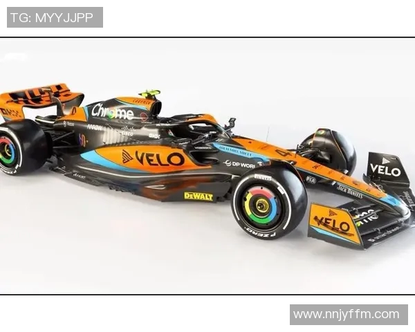 坠机悲剧中的篮球明星与他未竟的梦想与传奇人生